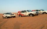 City Tour & Desert Safari with Dinner